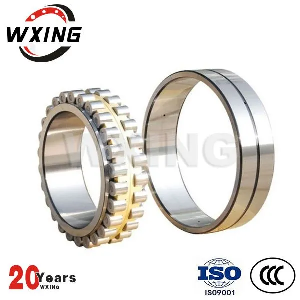 डबल पंक्ति पूर्ण पूरक बेलनाकार रोलर असर