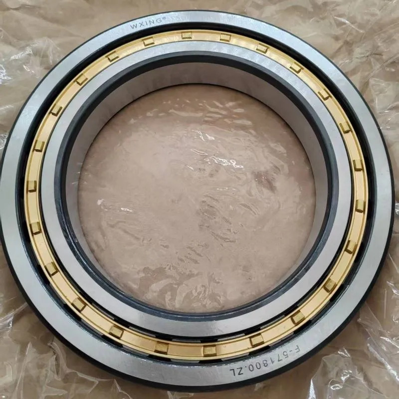 F -571800। Zl बेलनाकार रोलर असर एकल पंक्ति