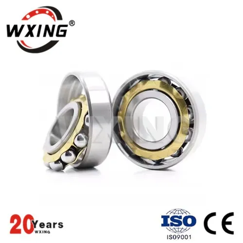 चुंबकीय बीयरिंग E5 E10 E11 E12 E16 पवन टरबाइन के लिए कोणीय संपर्क बॉल बीयरिंग